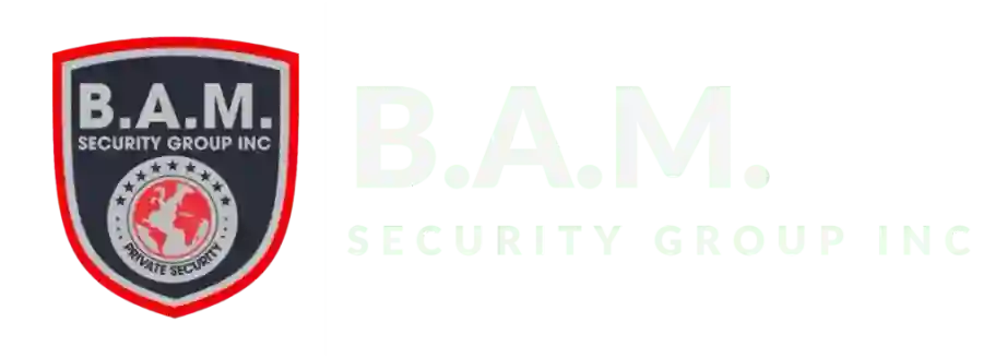 BAM Security Group Logo